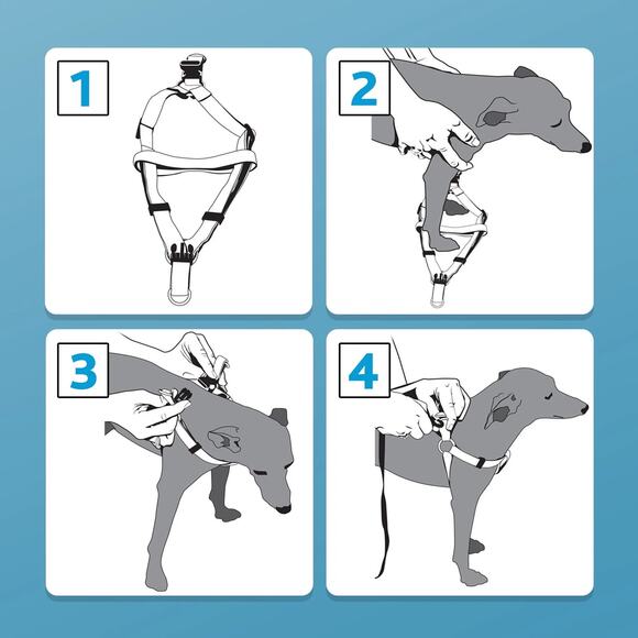 Vibrant Life Polyester Comfort Step-In Dog Harness Black XL Chest 32 - 42 in NWT - Picture 2 of 5